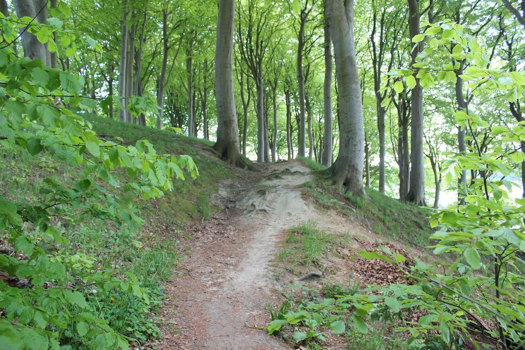 Sund & Skov Snoghøj Dış mekan fotoğraf